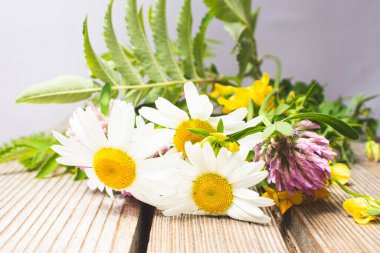 Sıcak bir yazın parlak renkleri. Yaz tarlaları, çayır otları ve ağaçtan bir bankta çiçekler..