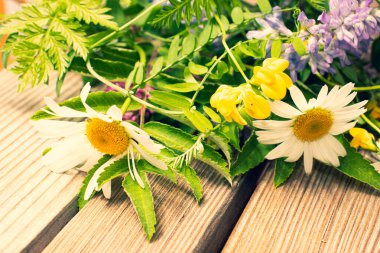 Sıcak bir yazın parlak renkleri. Yaz tarlaları, çayır otları ve ağaçtan bir bankta çiçekler..