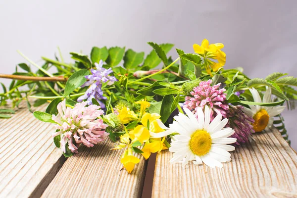 Forró Nyár Élénk Színei Nyári Mező Rét Fűszernövények Virágok Egy — Stock Fotó