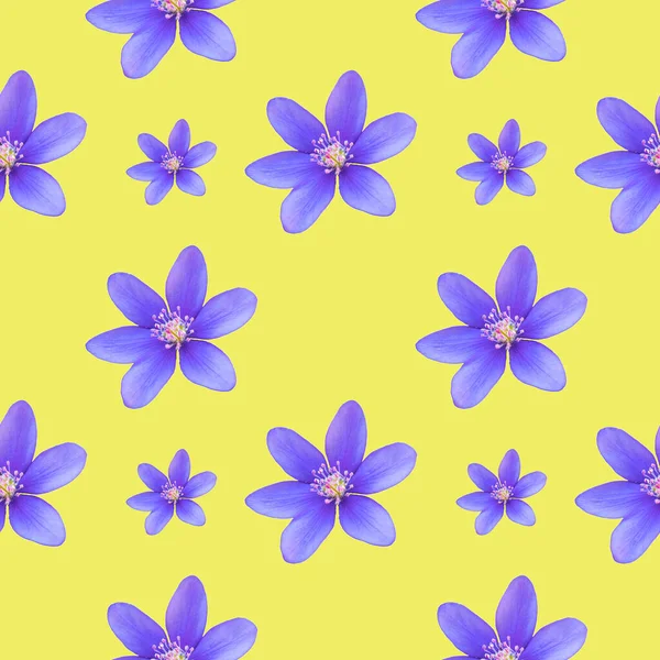 Απρόσκοπτη Μοτίβο Άγριων Και Δασικών Λουλουδιών Ουδέτερο Φόντο Χρώμα Ανάσα — Φωτογραφία Αρχείου