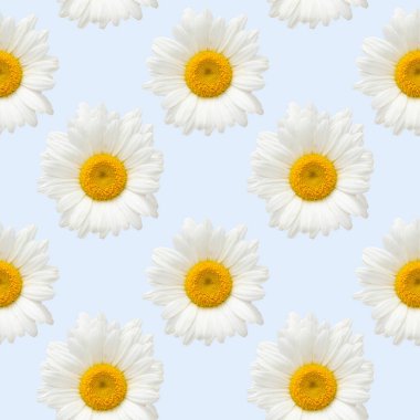 Bahar ve yaz çiçeklerinin kusursuz deseni. Parlak yabani, orman ve çayır çiçekleri.