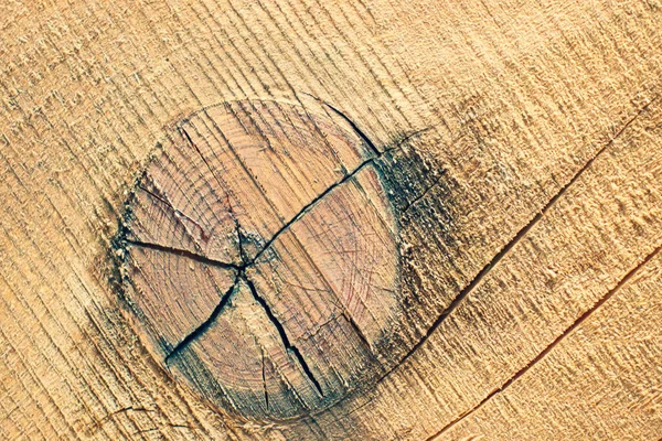 Der Längsläufer Zersägte Den Baum Trockenes Holzbrett Linien Der Jährlichen — Stockfoto