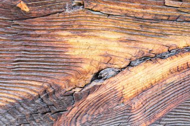 Güneş yanığı ahşap, rüzgar ve zamanla yaşlanmış. Eski ahşap doku. Yıpranmış ağaç halkaları..