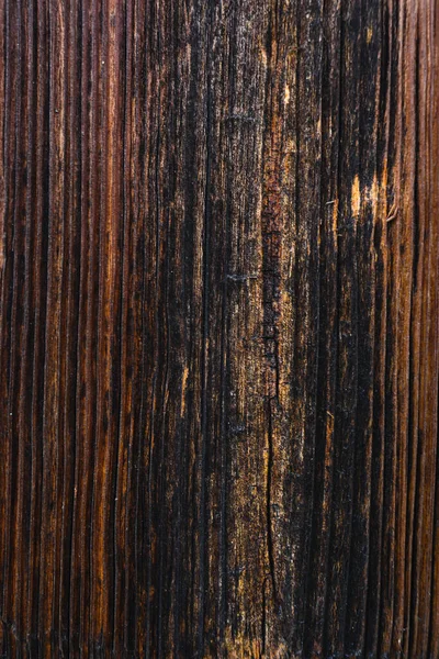 日焼けした木材 風と時間によって高齢者 古い木の質感 木の輪の風化した切口 — ストック写真