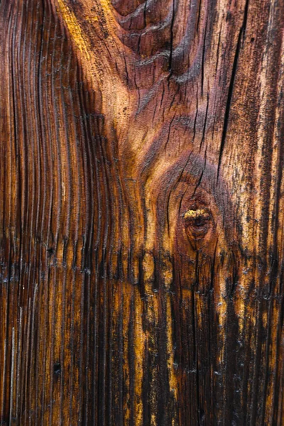 日焼けした木材 風と時間によって高齢者 古い木の質感 木の輪の風化した切口 — ストック写真