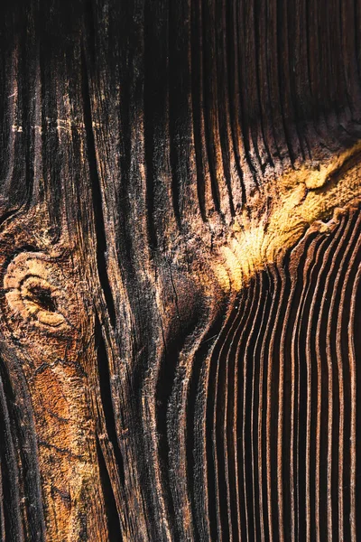 Güneş yanığı ahşap, rüzgar ve zamanla yaşlanmış. Eski ahşap doku. Yıpranmış ağaç halkaları..