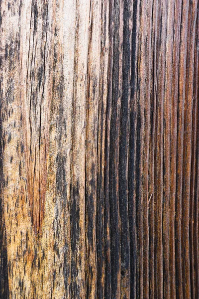 Madeira Queimada Envelhecida Pelo Vento Pelo Tempo Textura Madeira Velha — Fotografia de Stock