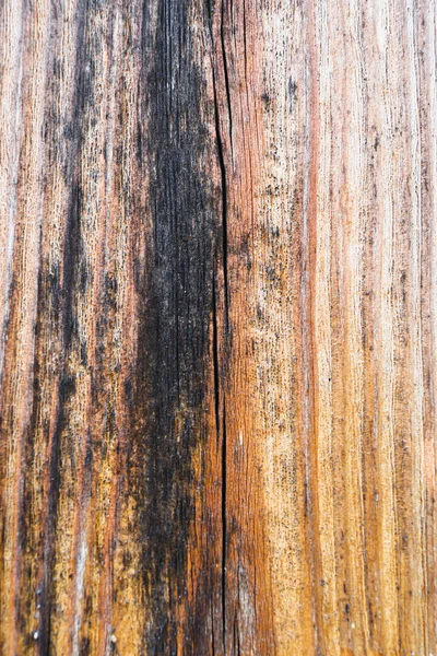 Згоріла Деревина Витримана Вітром Часом Стара Текстура Дерева Повітрений Розріз — стокове фото