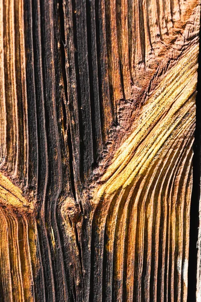 Güneş yanığı ahşap, rüzgar ve zamanla yaşlanmış. Eski ahşap doku. Yıpranmış ağaç halkaları..