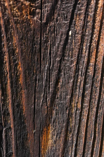 Sonnenverbranntes Holz Gealtert Durch Wind Und Zeit Altes Holz Verwitterter — Stockfoto