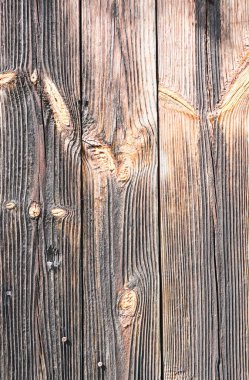 Güneş yanığı ahşap, rüzgar ve zamanla yaşlanmış. Eski ahşap doku. Yıpranmış ağaç halkaları..