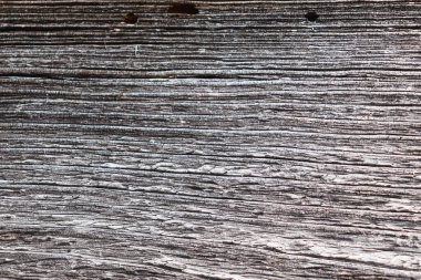 Güneş yanığı ahşap, rüzgar ve zamanla yaşlanmış. Eski ahşap doku. Yıpranmış ağaç halkaları..