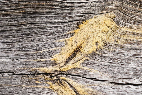 Sonnenverbranntes Holz Gealtert Durch Wind Und Zeit Altes Holz Verwitterter — Stockfoto