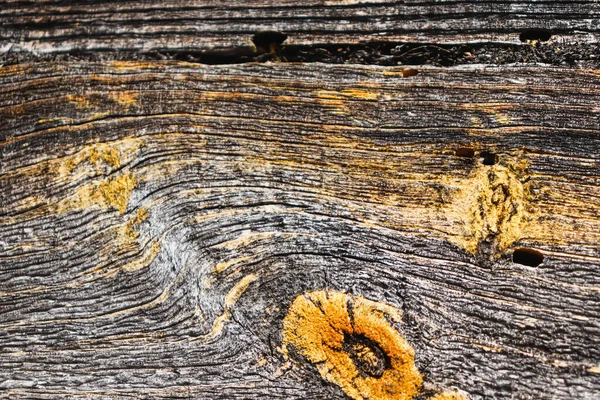 Sonnenverbranntes Holz Gealtert Durch Wind Und Zeit Altes Holz Verwitterter — Stockfoto