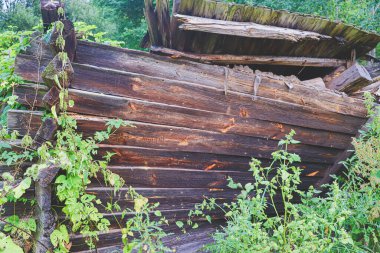 Çimlerle, çalılarla ve tırmanma bitkileriyle kaplanmış çürümüş ahşap binaların kalıntıları. Eski bir köy konutunun kalıntıları.