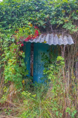 Çimlerle, çalılarla ve tırmanma bitkileriyle kaplanmış çürümüş ahşap binaların kalıntıları. Eski bir köy konutunun kalıntıları.