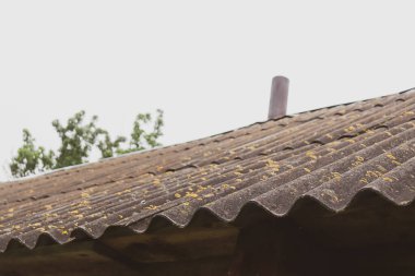 Yeşil yosunlarla kaplı eski kararmış bir çatı. Eski bir köy binasının çatısında..