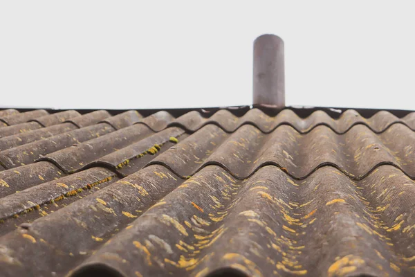 Yeşil yosunlarla kaplı eski kararmış bir çatı. Eski bir köy binasının çatısında..