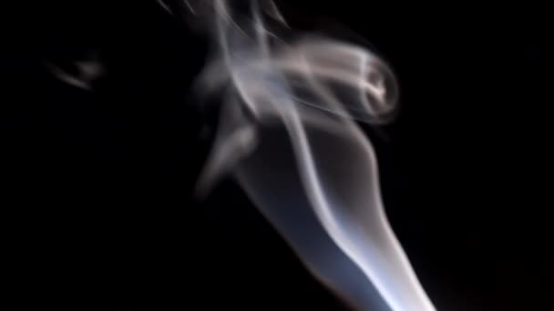 煙が焼香棒から暗闇の中でストリーミング。暗い背景に煙の気まぐれなカール. — ストック動画