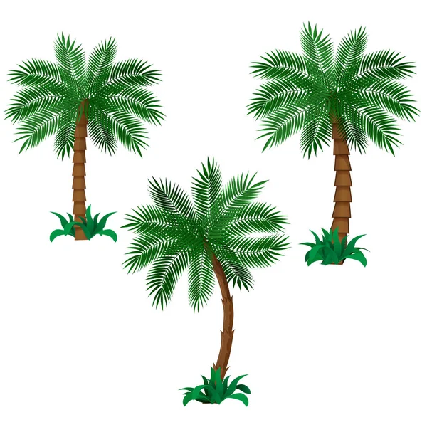 Sæt palmetræer – Stock-vektor