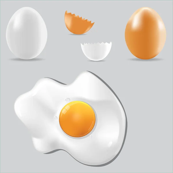 Αυγό φορέα υγιεινά τρόφιμα που — Διανυσματικό Αρχείο