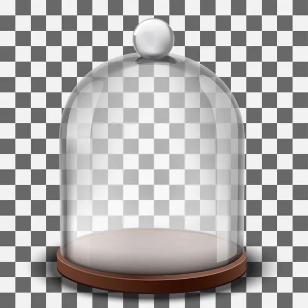 Glazen koepel transparant — Stockvector