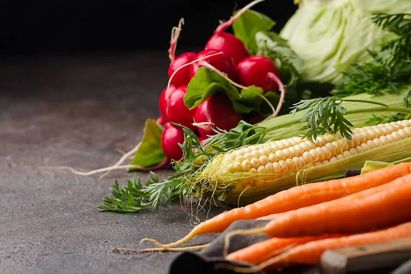 Stillleben Verschiedener Frischer Herbstgemüse Vor Dunklem Hintergrund Konzept Der Vegetarischen — Stockfoto