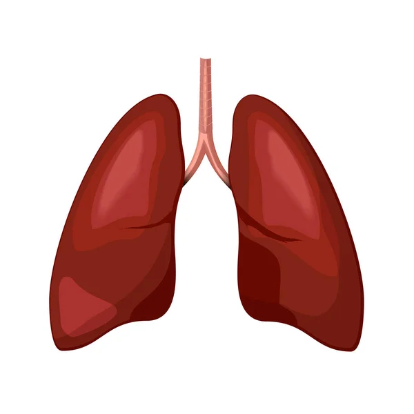 Illustration zum Lungensymbol — Stockvektor
