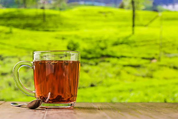 Chá em uma xícara de vidro — Fotografia de Stock