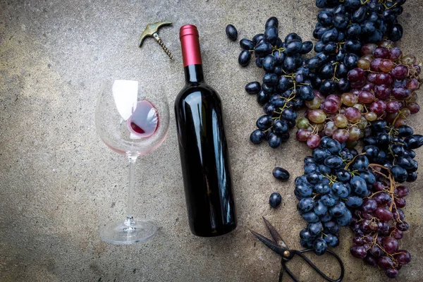 En flaska rött vin med druvor — Stockfoto