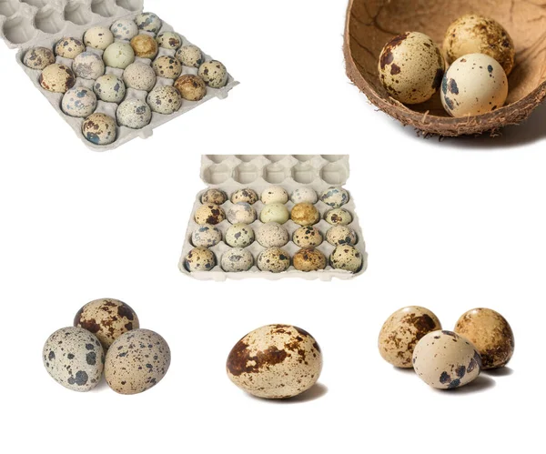 Set Quail Eggs Isolated White Background — Stock Photo, Image