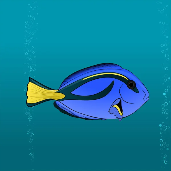 Gambar Kartun Blue Tang Regal - Stok Vektor