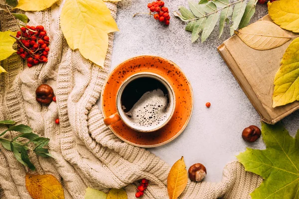 따끈 한 커피와 가을의 배경. — 스톡 사진