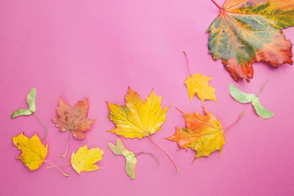 Automne vue de dessus arrière-plan — Photo