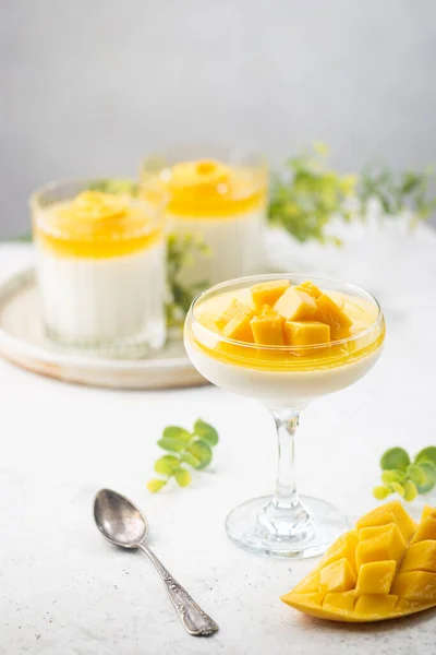 Panna cotta s mangem — Stock fotografie