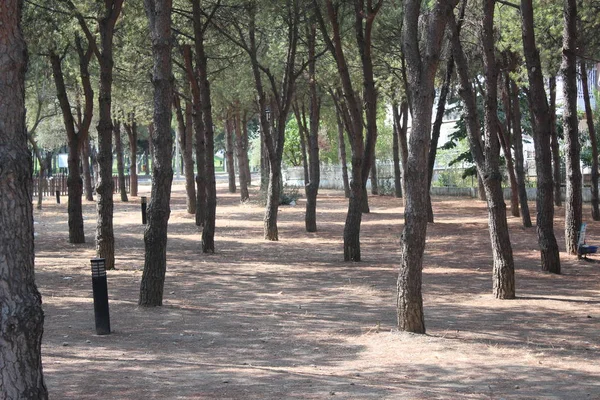 Sétány Piknikező Sportterület Manisa Törökország — Stock Fotó