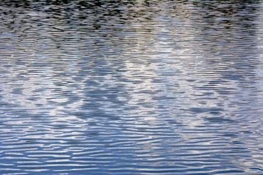 Küçük dalgalar. Rüzgar yüzey su tarafından buruşuk.