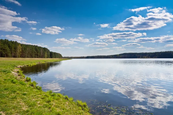 Summer Landscape Lake Blue Sky — Stock Photo, Image