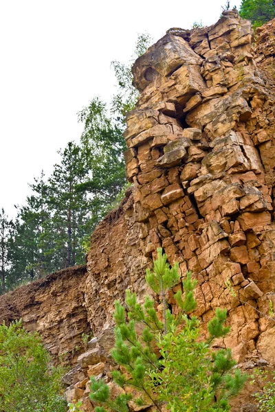 山の岩の上の木 — ストック写真