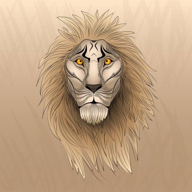 Bak aslanım. Bilge bir aslanın kafası. Vektör Illustration