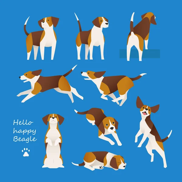 Set Von Niedlichen Beagle Pose Flaches Design Minimale Vektorillustration — Stockvektor