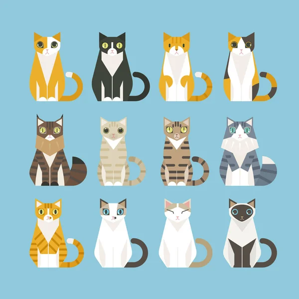 Berbagai Warna Kucing Gaya Desain Datar Gambar Vektor Minimal - Stok Vektor