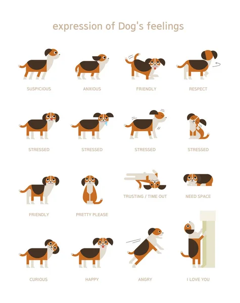 köpek dili bilgisi. düz tasarım tarzı minimal vektör illüstrasyon.