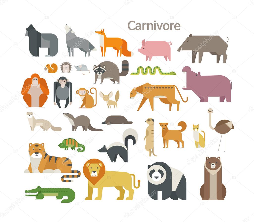 Mega set of animals living on the ground. Carnivore. flat design style minimal vector illustration.