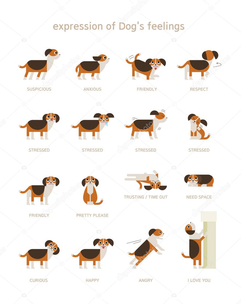 dog language information. flat design style minimal vector illustration.