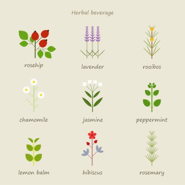 Types of herbal tea. flat design style minimal vector illustration. clipart
