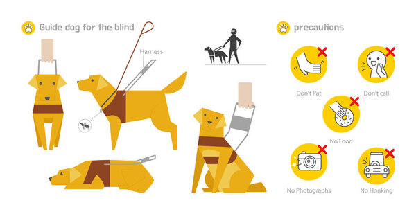 Иконка для слепой собаки. Золотистый ретривер в форме слепой собаки-поводыря. плоский дизайн минимальная векторная иллюстрация
.