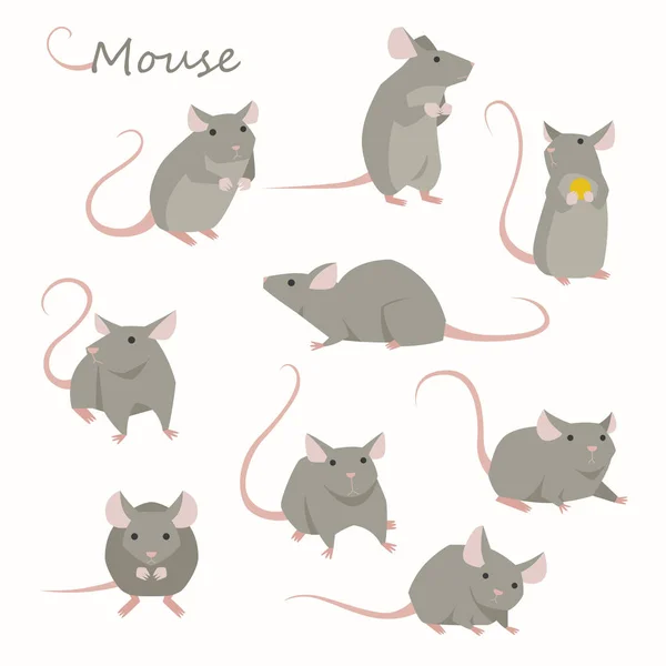 Ładny Zestaw Znaków Myszy Ilustracja Minimalny Projekt Płaski Wektor — Wektor stockowy