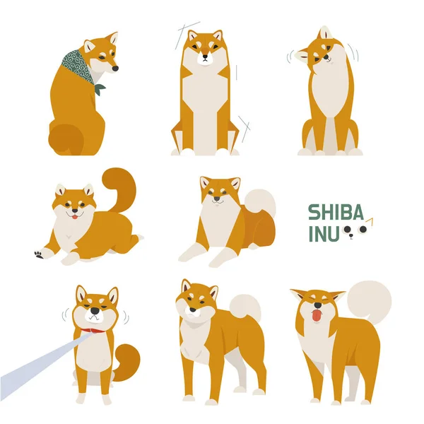 Karakter Shiba Inu Imut Dalam Berbagai Pose Gaya Desain Datar - Stok Vektor