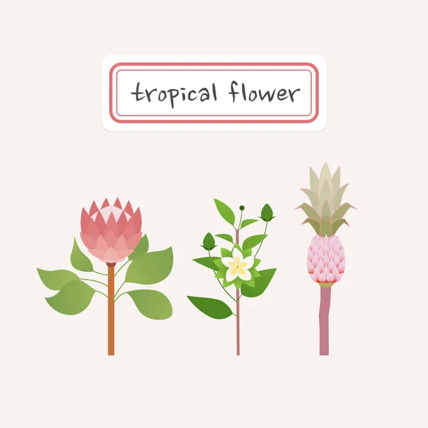 Tropische Blumen Flaches Design Minimale Vektorillustration — Stockvektor